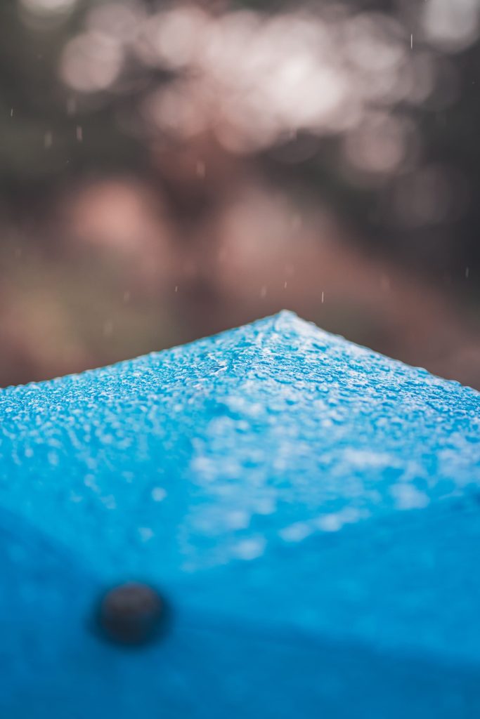 it is raining cats and dogs traduction webplume redaction