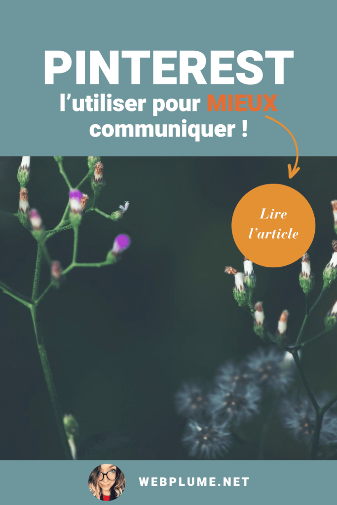 pinterest et communication 2