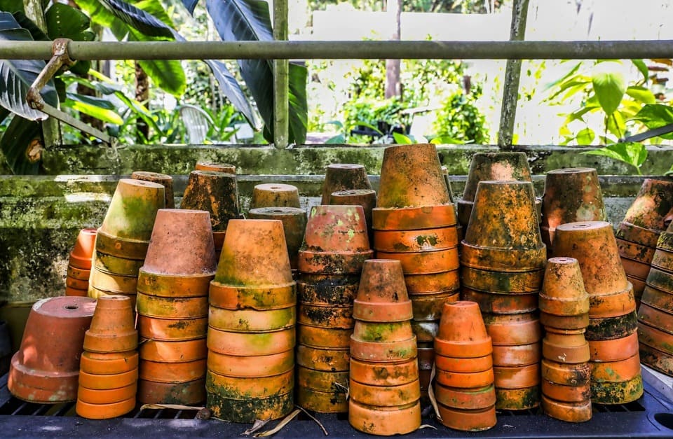 pots en terre cuite