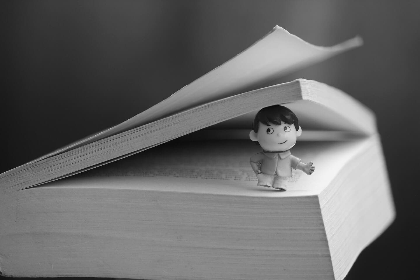 relecture et correction de vos contenus professionnels